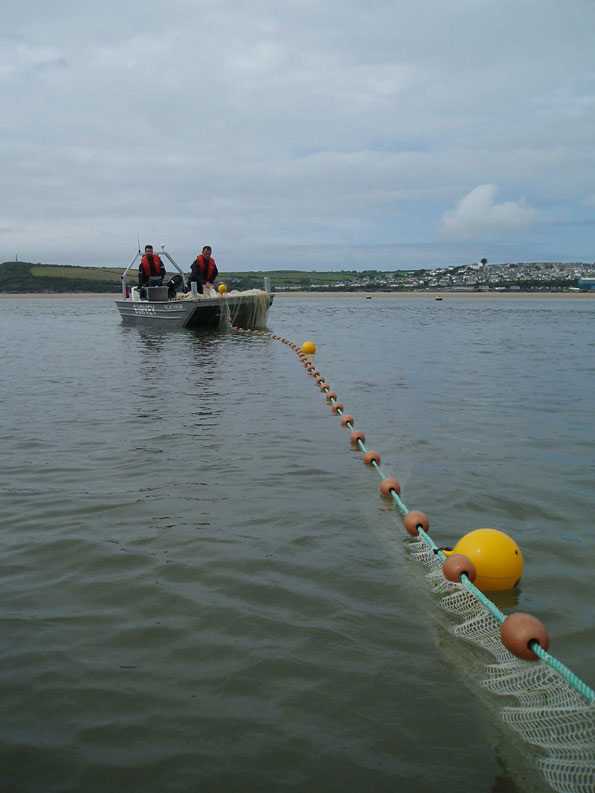 cornish survey boatweb.jpg